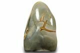 Free-Standing, Polished Polychrome Jasper - Madagascar #323631-1